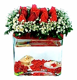 AKVARYUMLU GÜLLER