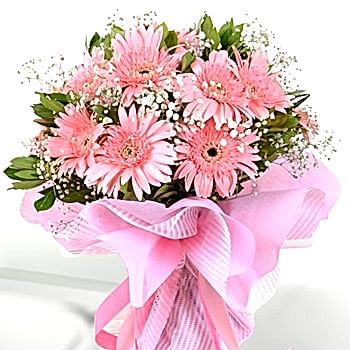 PEMBE SEVDA AŞKIMA