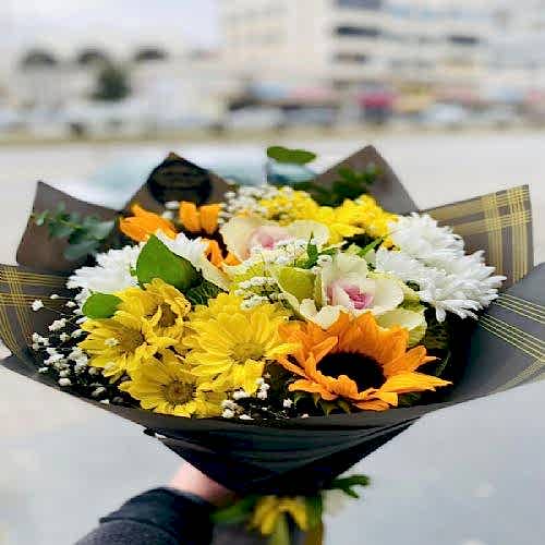 Sarı Papatya Ayçekirdeği