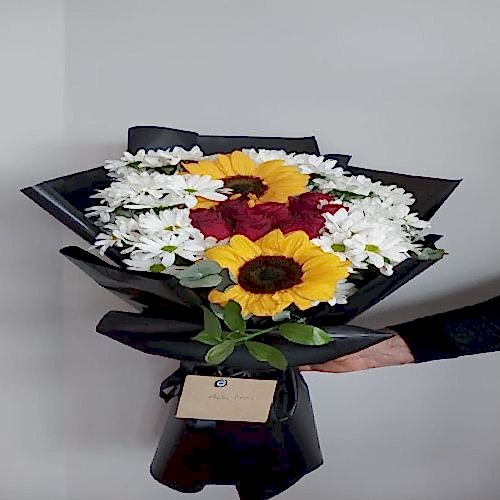 Güne Bakan Papatya