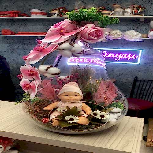 Büyük Boy Kız Bebek Teraryum
