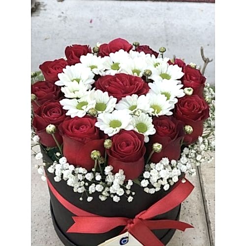 12 Gül Ve Papatya