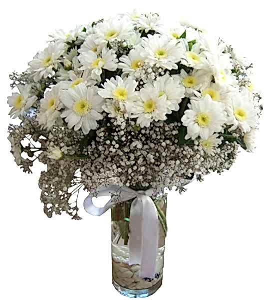 ENFES BİR UYUM